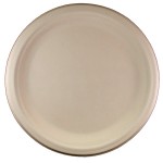 10in-Paper-Plate