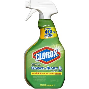 Clorox-Cleanup